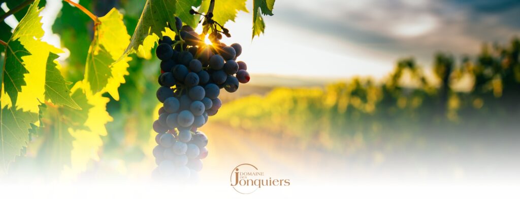 Domaine du Jonquiers