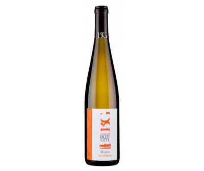 Muscat d'Alsace 2023