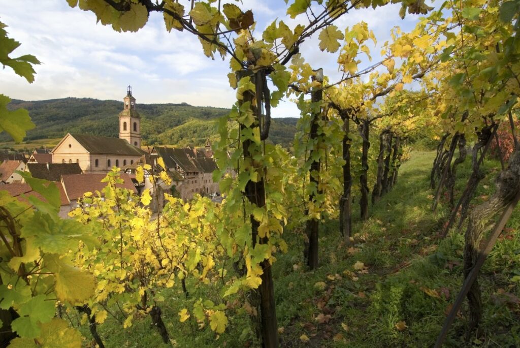 Domaine Bott-Geyl
